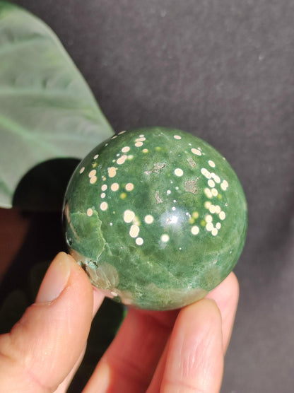8 veines Ocean Jasper Orbiculaire vert - boule de pierre précieuse pierre de guérison naturelle décoration cristal cadeau lui elle homme femme maison appartement énergie rare
