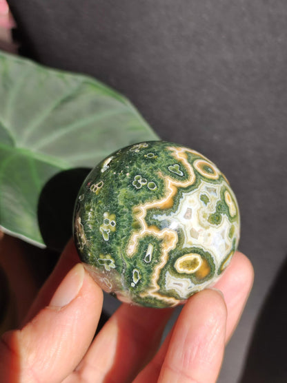 Jaspe océanique vert orbiculaire à 8 veines - Sphère de pierre précieuse rare, pierre de guérison naturelle, cristal décoratif, cadeau pour lui, elle, homme, femme, maison, énergie, rare