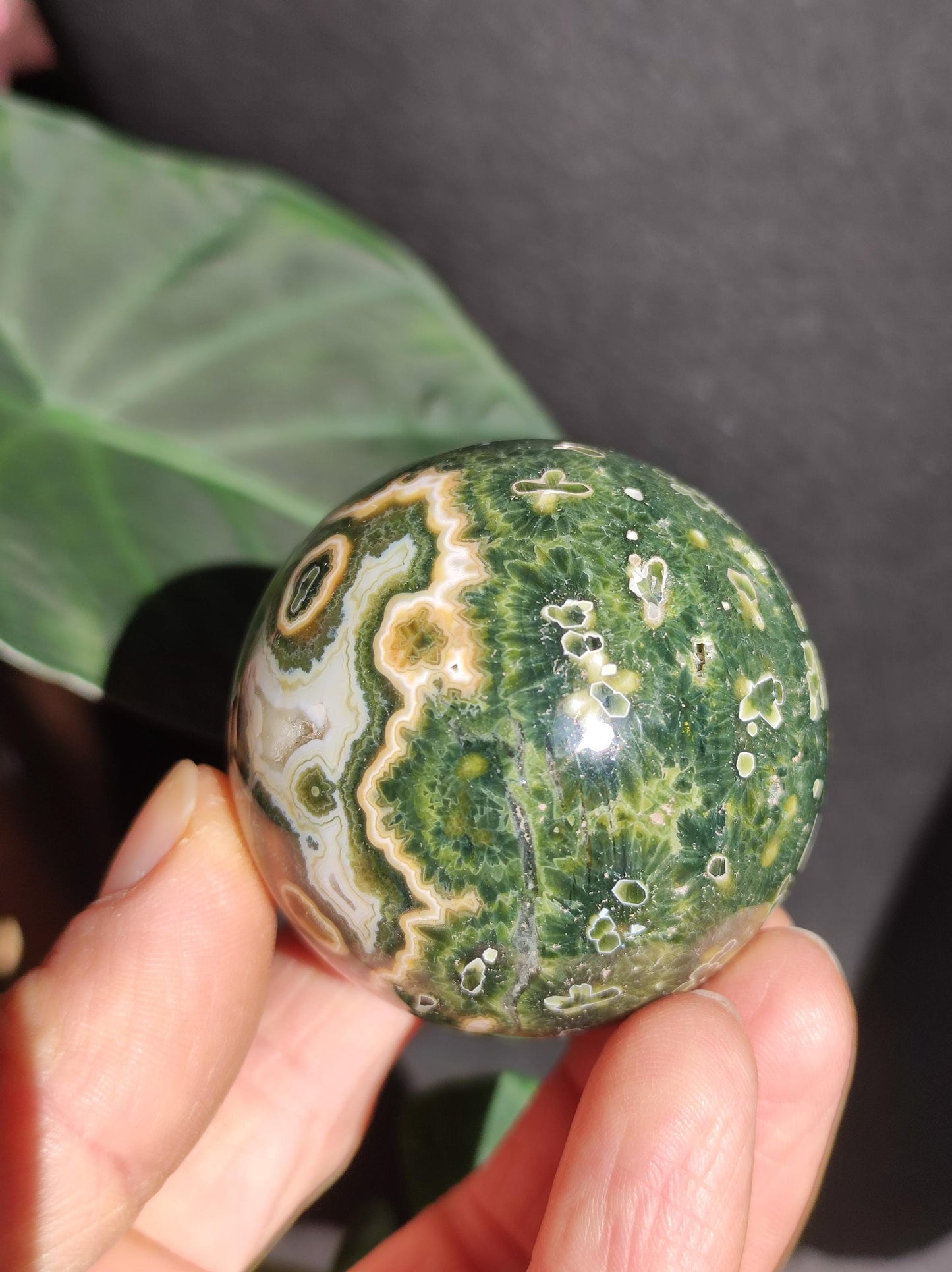 Jaspe océanique vert orbiculaire à 8 veines - Sphère de pierre précieuse rare, pierre de guérison naturelle, cristal décoratif, cadeau pour lui, elle, homme, femme, maison, énergie, rare