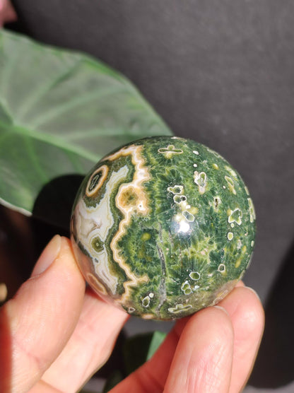 Jaspe océanique vert orbiculaire à 8 veines - Sphère de pierre précieuse rare, pierre de guérison naturelle, cristal décoratif, cadeau pour lui, elle, homme, femme, maison, énergie, rare