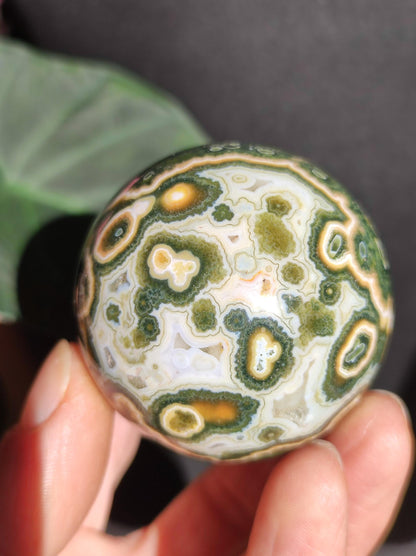 Jaspe océanique vert orbiculaire à 8 veines - Sphère de pierre précieuse rare, pierre de guérison naturelle, cristal décoratif, cadeau pour lui, elle, homme, femme, maison, énergie, rare