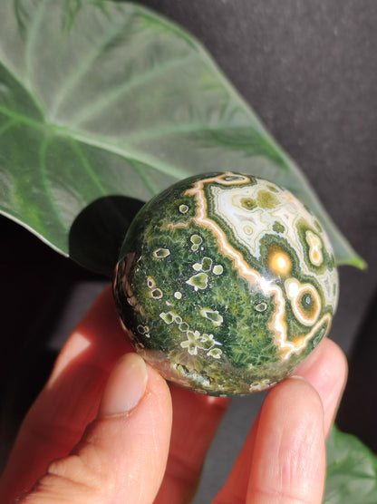 Jaspe océanique vert orbiculaire à 8 veines - Sphère de pierre précieuse rare, pierre de guérison naturelle, cristal décoratif, cadeau pour lui, elle, homme, femme, maison, énergie, rare