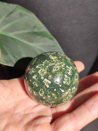 Jaspe océanique vert orbiculaire à 8 veines - Sphère de pierre précieuse rare, pierre de guérison naturelle, cristal décoratif, cadeau pour lui, elle, homme, femme, maison, énergie, rare