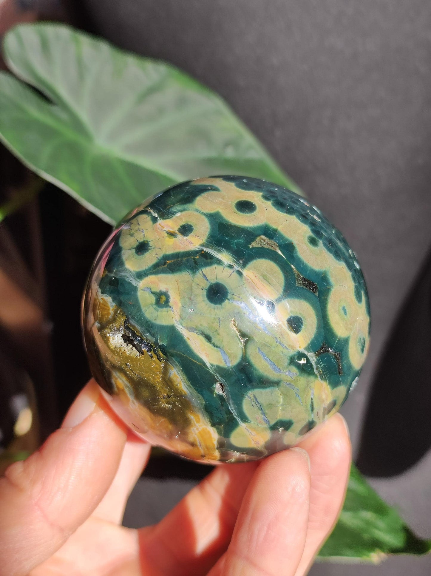 Jaspe océanique vert orbiculaire à 8 veines - Sphère de pierre précieuse rare, pierre de guérison naturelle, cristal décoratif, cadeau pour lui, elle, homme, femme, maison, énergie, rare