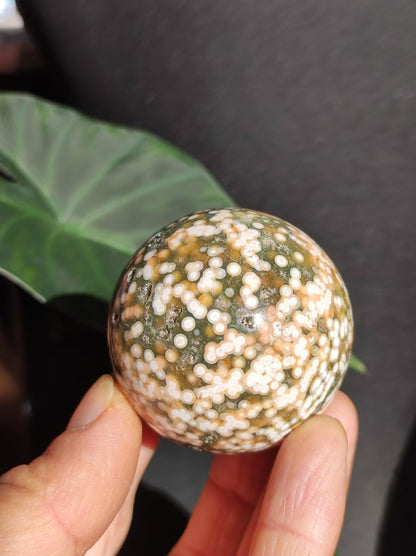 8 veines Ocean Jasper Orbiculaire vert - boule de pierre précieuse pierre de guérison naturelle décoration cristal cadeau lui elle homme femme maison appartement énergie rare
