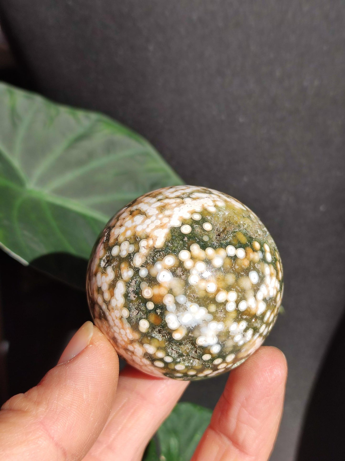 8 veines Ocean Jasper Orbiculaire vert - boule de pierre précieuse pierre de guérison naturelle décoration cristal cadeau lui elle homme femme maison appartement énergie rare