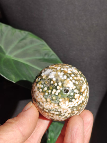 8 veines Ocean Jasper Orbiculaire vert - boule de pierre précieuse pierre de guérison naturelle décoration cristal cadeau lui elle homme femme maison appartement énergie rare