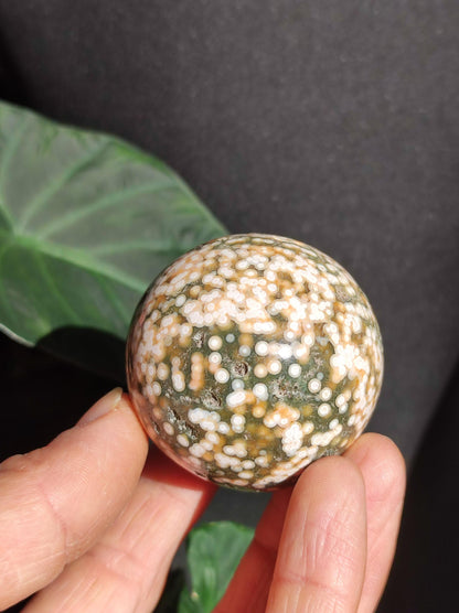8 veines Ocean Jasper Orbiculaire vert - boule de pierre précieuse pierre de guérison naturelle décoration cristal cadeau lui elle homme femme maison appartement énergie rare