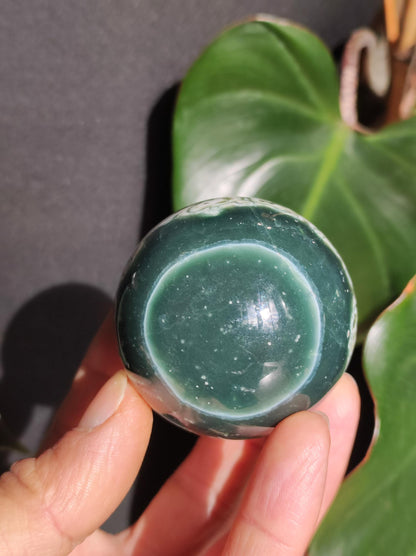 8 veines Ocean Jasper Orbiculaire vert - boule de pierre précieuse pierre de guérison naturelle décoration cristal cadeau lui elle homme femme maison appartement énergie rare