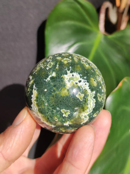 8 veines Ocean Jasper Orbiculaire vert - boule de pierre précieuse pierre de guérison naturelle décoration cristal cadeau lui elle homme femme maison appartement énergie rare
