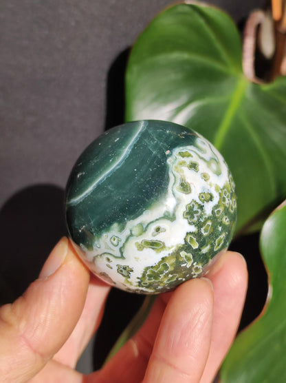 8 veines Ocean Jasper Orbiculaire vert - boule de pierre précieuse pierre de guérison naturelle décoration cristal cadeau lui elle homme femme maison appartement énergie rare