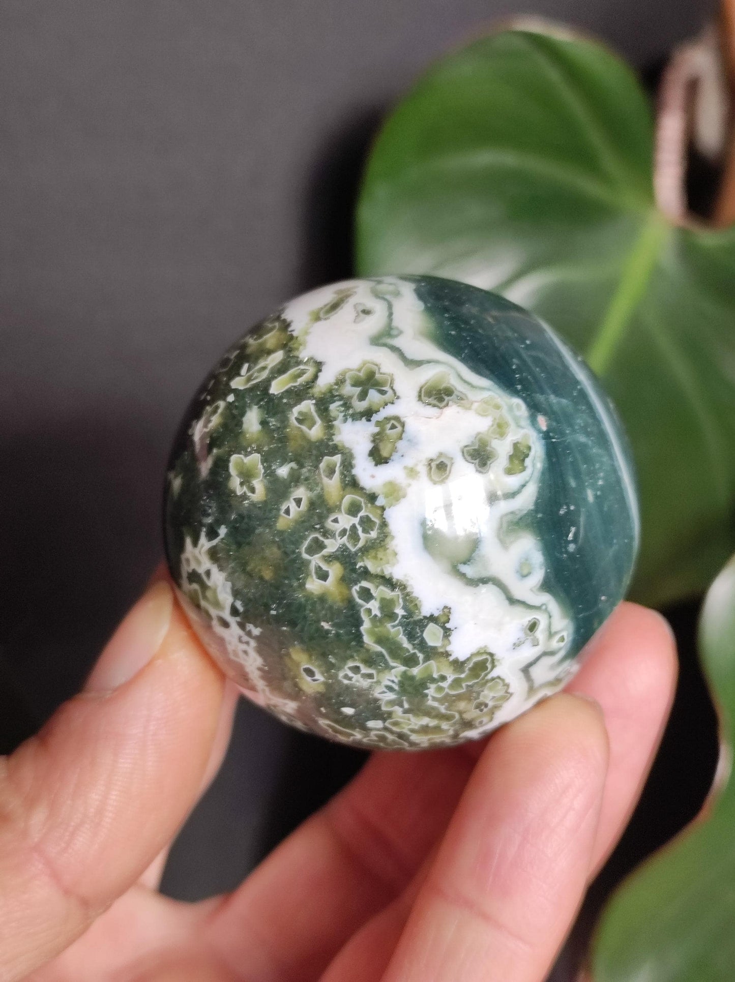 8 veines Ocean Jasper Orbiculaire vert - boule de pierre précieuse pierre de guérison naturelle décoration cristal cadeau lui elle homme femme maison appartement énergie rare