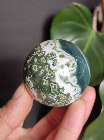 8 veines Ocean Jasper Orbiculaire vert - boule de pierre précieuse pierre de guérison naturelle décoration cristal cadeau lui elle homme femme maison appartement énergie rare