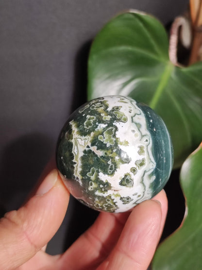 8 veines Ocean Jasper Orbiculaire vert - boule de pierre précieuse pierre de guérison naturelle décoration cristal cadeau lui elle homme femme maison appartement énergie rare