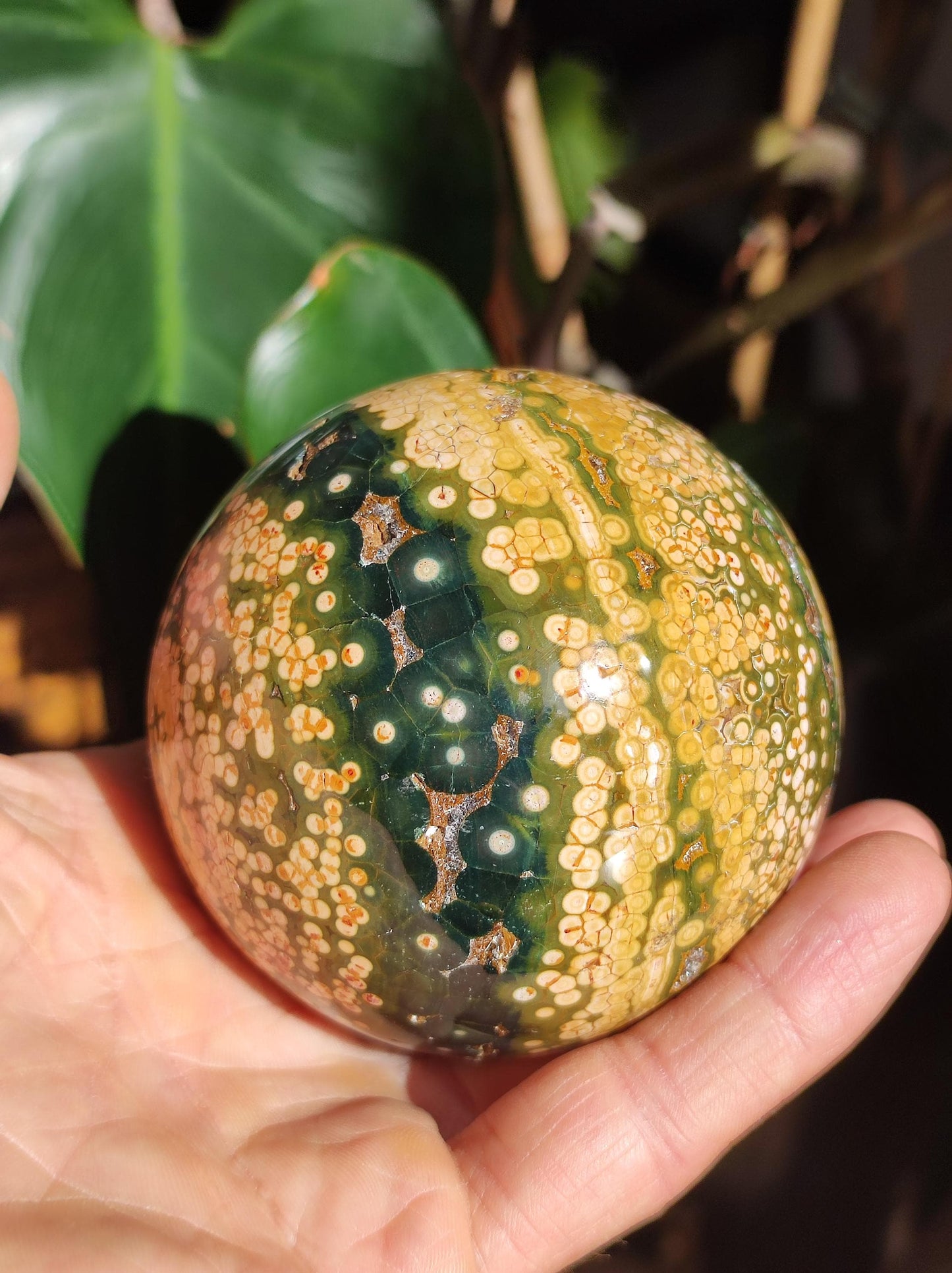 XXL 8 Brins de Jaspe Océan Orbiculé Jaune - Sphère de Pierre Précieuse Naturelle, Pierre de Guérison, Décoration, Cristal, Cadeau, Lui, Elle, Homme, Femme, Maison, Habitat, Énergie, Rare