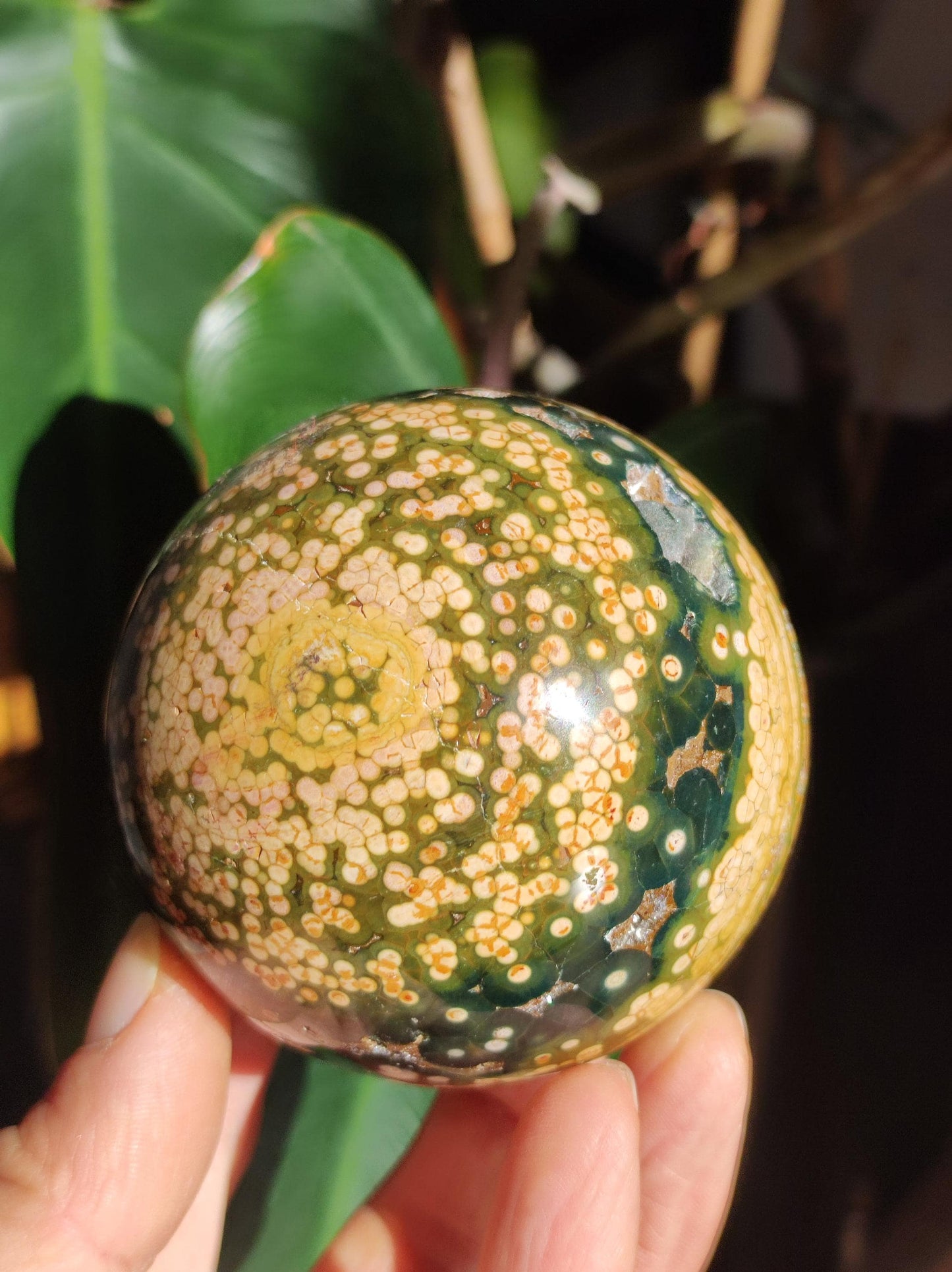 XXL 8 Brins de Jaspe Océan Orbiculé Jaune - Sphère de Pierre Précieuse Naturelle, Pierre de Guérison, Décoration, Cristal, Cadeau, Lui, Elle, Homme, Femme, Maison, Habitat, Énergie, Rare