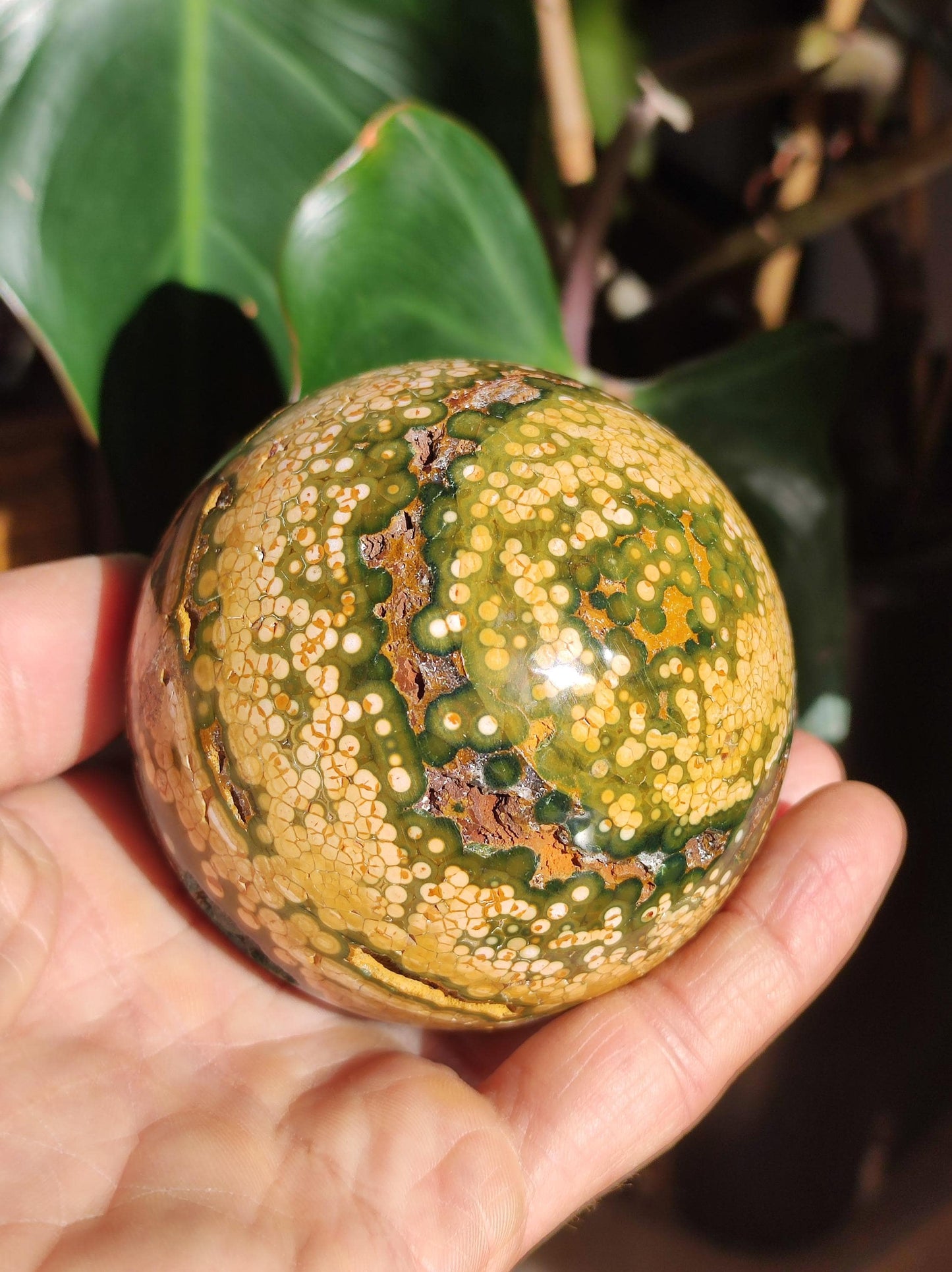 XXL 8 Brins de Jaspe Océan Orbiculé Jaune - Sphère de Pierre Précieuse Naturelle, Pierre de Guérison, Décoration, Cristal, Cadeau, Lui, Elle, Homme, Femme, Maison, Habitat, Énergie, Rare