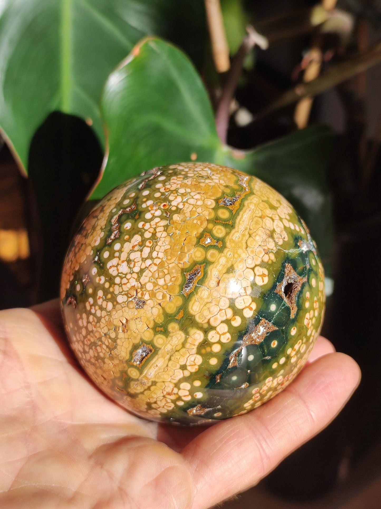 XXL 8 Brins de Jaspe Océan Orbiculé Jaune - Sphère de Pierre Précieuse Naturelle, Pierre de Guérison, Décoration, Cristal, Cadeau, Lui, Elle, Homme, Femme, Maison, Habitat, Énergie, Rare