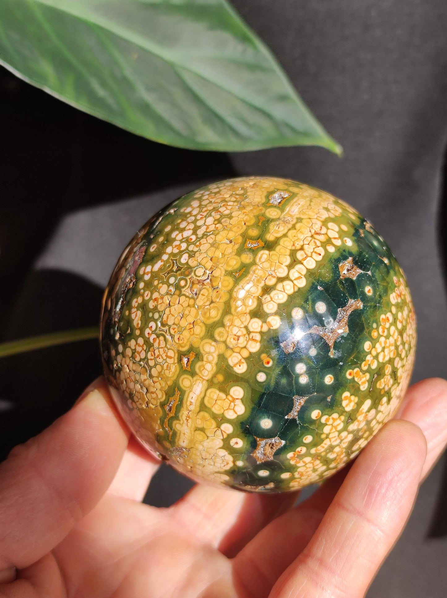 XXL 8 Brins de Jaspe Océan Orbiculé Jaune - Sphère de Pierre Précieuse Naturelle, Pierre de Guérison, Décoration, Cristal, Cadeau, Lui, Elle, Homme, Femme, Maison, Habitat, Énergie, Rare