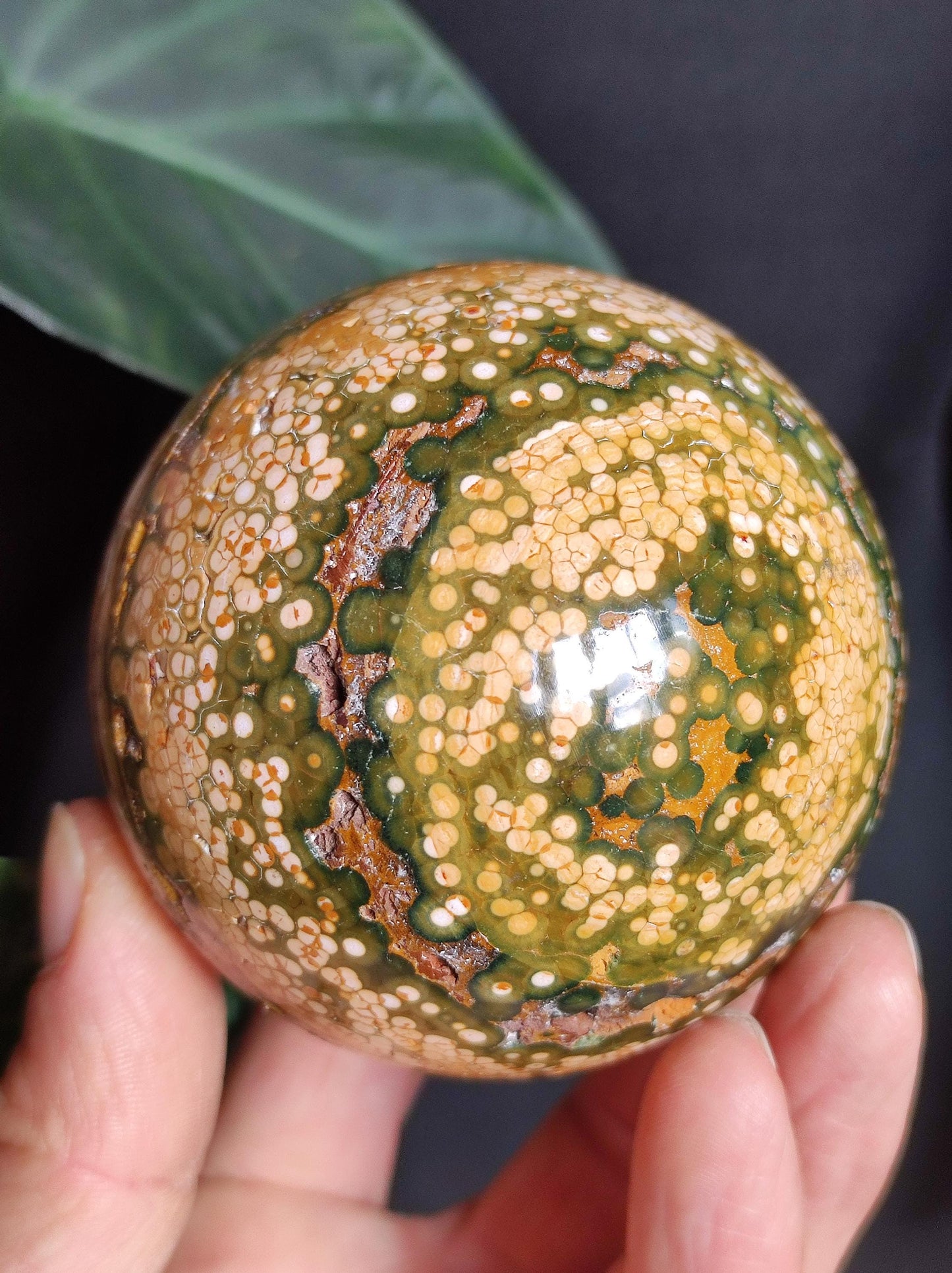 XXL 8 Brins de Jaspe Océan Orbiculé Jaune - Sphère de Pierre Précieuse Naturelle, Pierre de Guérison, Décoration, Cristal, Cadeau, Lui, Elle, Homme, Femme, Maison, Habitat, Énergie, Rare