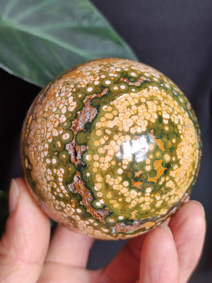 XXL 8 Brins de Jaspe Océan Orbiculé Jaune - Sphère de Pierre Précieuse Naturelle, Pierre de Guérison, Décoration, Cristal, Cadeau, Lui, Elle, Homme, Femme, Maison, Habitat, Énergie, Rare