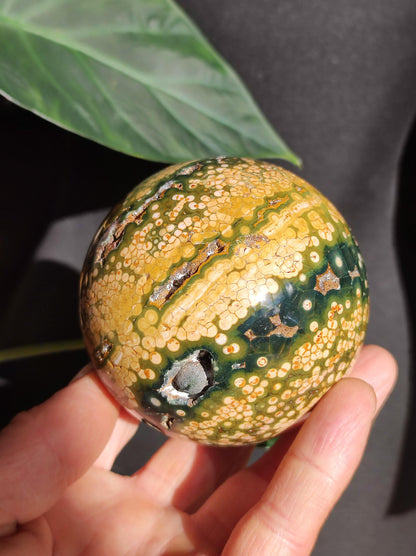 XXL 8 Brins de Jaspe Océan Orbiculé Jaune - Sphère de Pierre Précieuse Naturelle, Pierre de Guérison, Décoration, Cristal, Cadeau, Lui, Elle, Homme, Femme, Maison, Habitat, Énergie, Rare