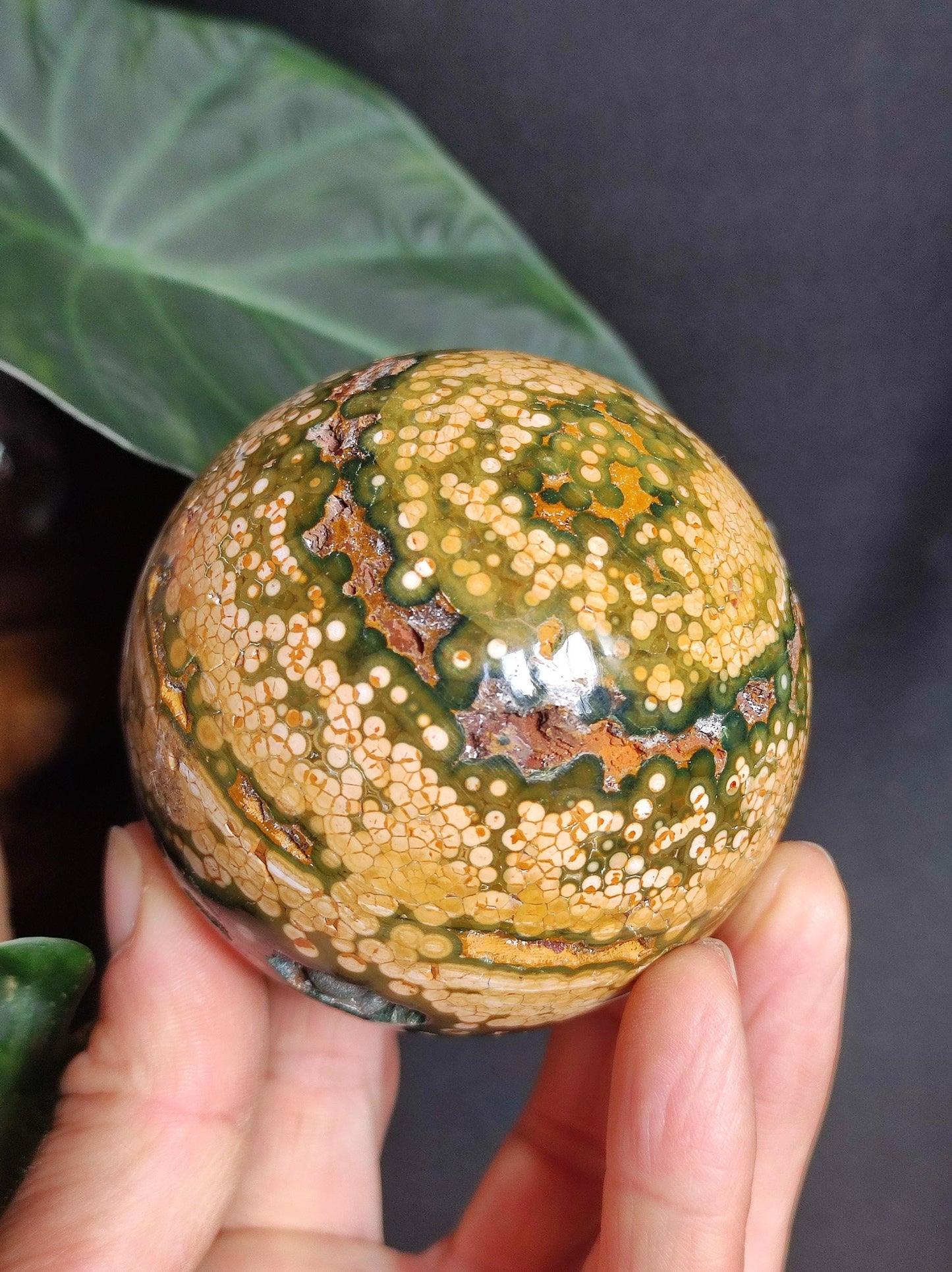 XXL 8 Brins de Jaspe Océan Orbiculé Jaune - Sphère de Pierre Précieuse Naturelle, Pierre de Guérison, Décoration, Cristal, Cadeau, Lui, Elle, Homme, Femme, Maison, Habitat, Énergie, Rare