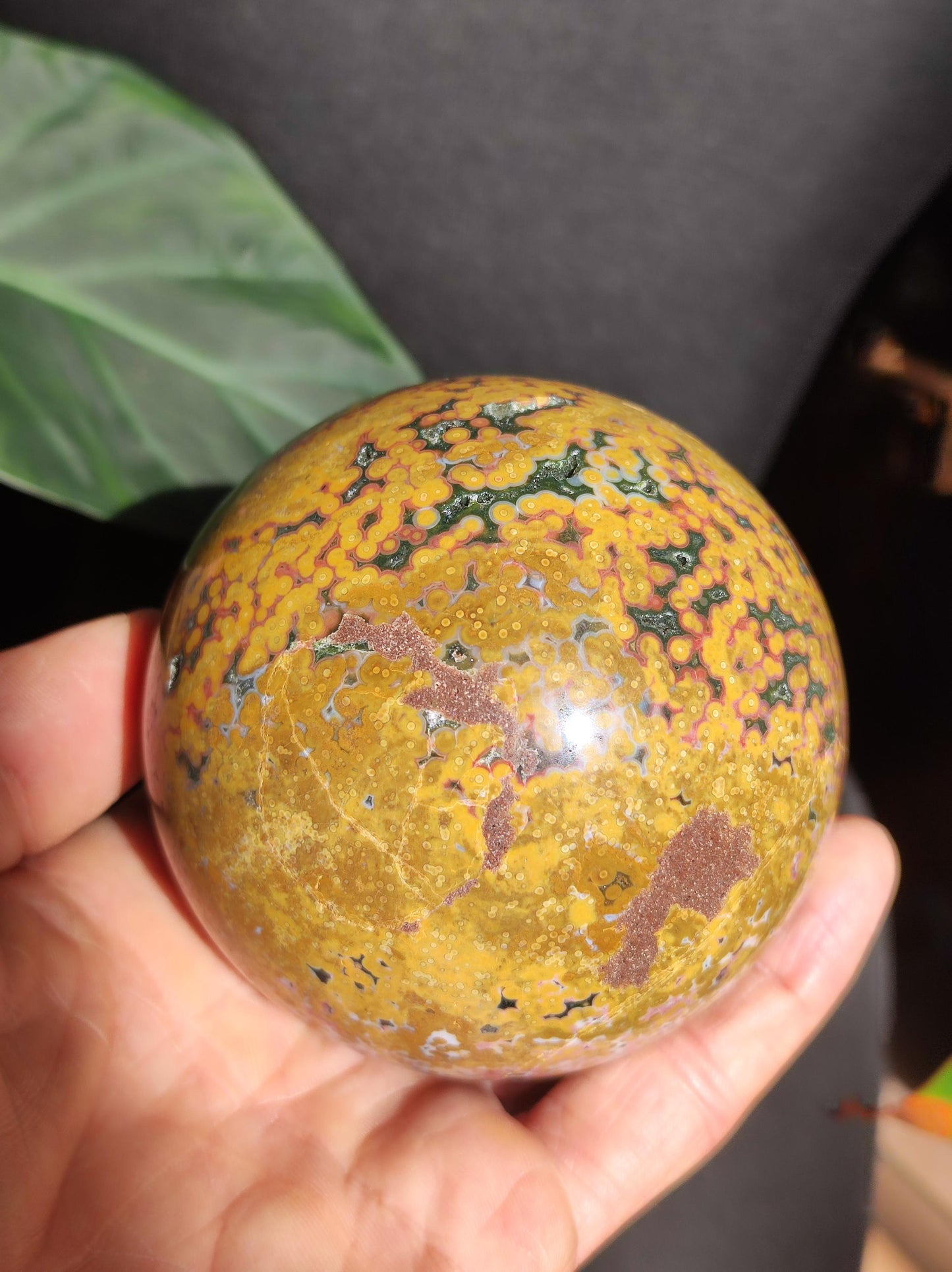 XXL 8 Brins de Jaspe Océan Orbiculé Jaune - Sphère de Pierre Précieuse Naturelle, Pierre de Guérison, Décoration, Cristal, Cadeau, Lui, Elle, Homme, Femme, Maison, Habitat, Énergie, Rare