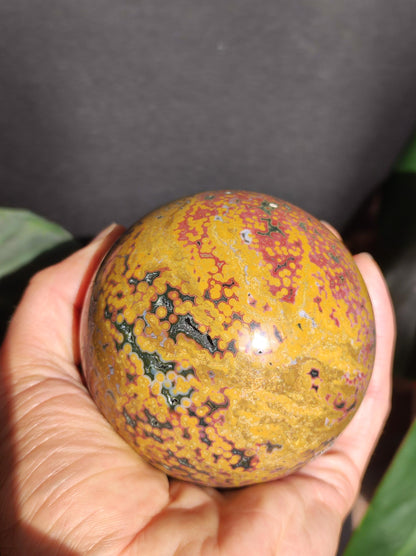 XXL 8 Brins de Jaspe Océan Orbiculé Jaune - Sphère de Pierre Précieuse Naturelle, Pierre de Guérison, Décoration, Cristal, Cadeau, Lui, Elle, Homme, Femme, Maison, Habitat, Énergie, Rare