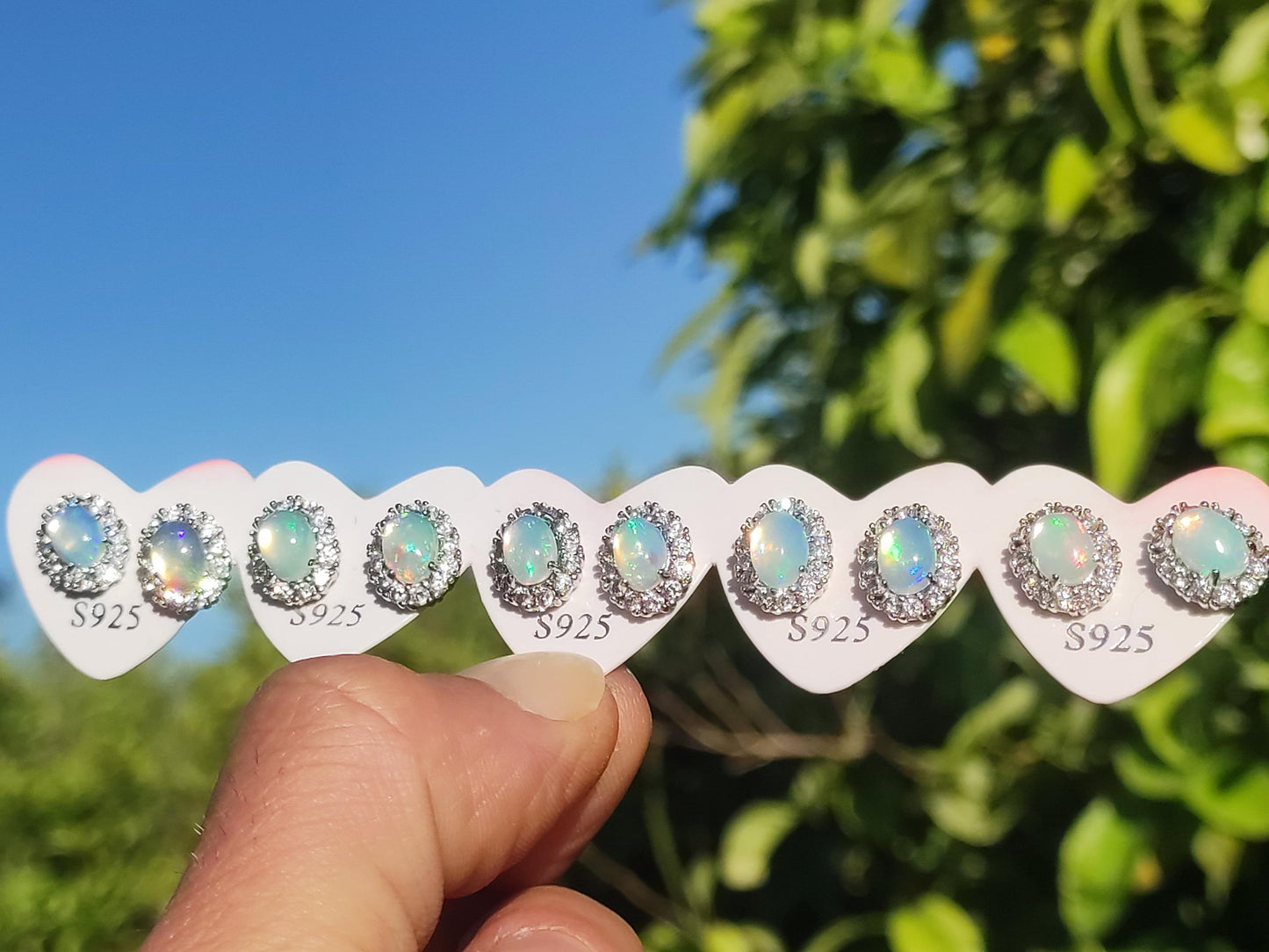Ethiopian Opal AAA - 925 Sterling Silber Ohrstecker bunt Ohrringe Edelstein Heilstein Energie Frau Geschenk Schmuck Hochwertig Edel Rarität