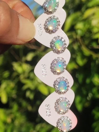 Ethiopian Opal AAA - 925 Sterling Silber Ohrstecker bunt Ohrringe Edelstein Heilstein Energie Frau Geschenk Schmuck Hochwertig Edel Rarität