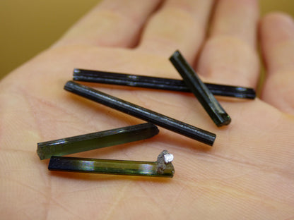 SET 5x Tourmaline verte - AAA Qualité Brut Bâtons Rareté Rare Minéral Brésil Collectionneurs Étapes Pierre précieuse Déco Cristal Pierre de guérison Nature