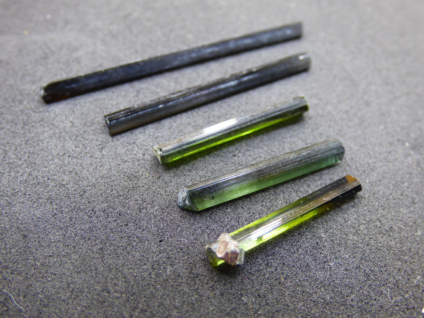SET 5x Tourmaline verte - AAA Qualité Brut Bâtons Rareté Rare Minéral Brésil Collectionneurs Étapes Pierre précieuse Déco Cristal Pierre de guérison Nature