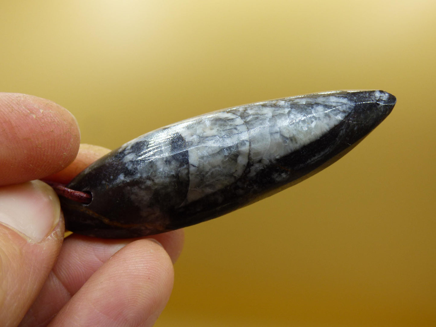 Orthoceras Fossil ~ Collier de pierres précieuses ~HIPPIE ~GOA ~Boho ~Ethno ~Nature ~Pierre de guérison