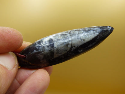 Orthoceras Fossil ~ Collier de pierres précieuses ~HIPPIE ~GOA ~Boho ~Ethno ~Nature ~Pierre de guérison