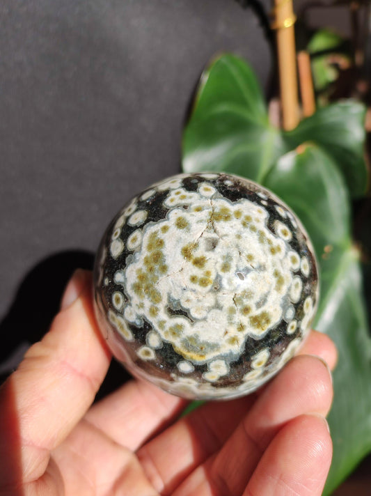 8 veins Ocean Jasper Orbicular green - gemstone ball natural healing stone decoration crystal gift him she man woman house apartment energy rare