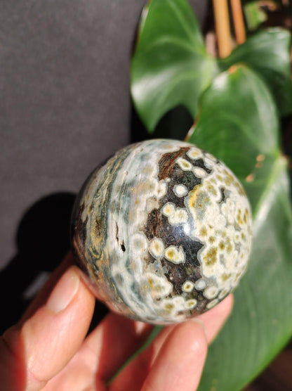 8 veins Ocean Jasper Orbicular green - gemstone ball natural healing stone decoration crystal gift him she man woman house apartment energy rare