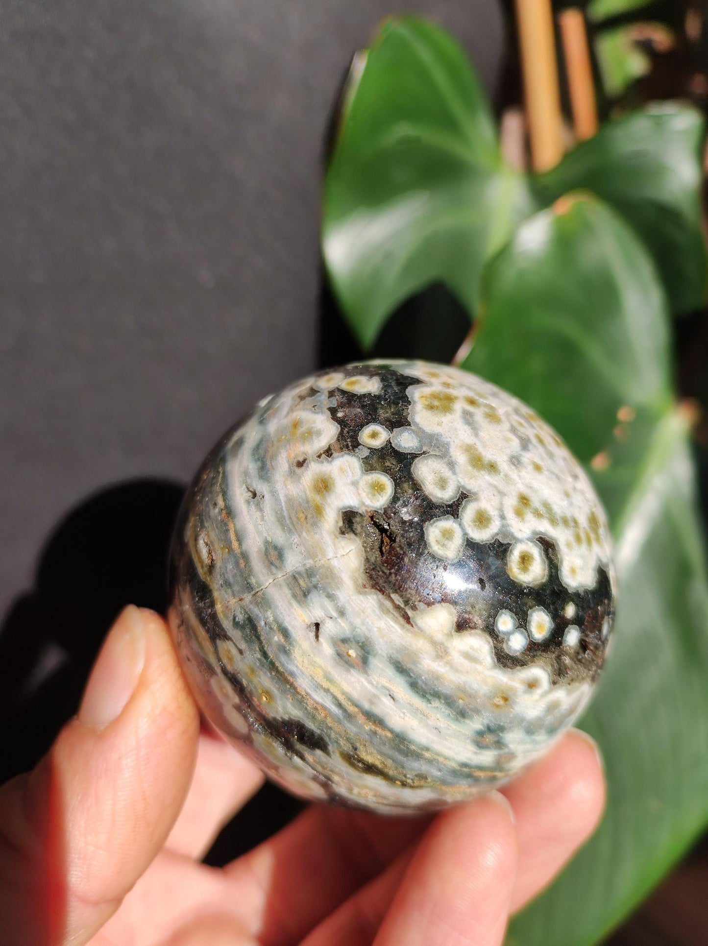 8 veins Ocean Jasper Orbicular green - gemstone ball natural healing stone decoration crystal gift him she man woman house apartment energy rare