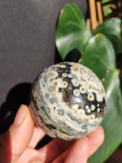 8 veins Ocean Jasper Orbicular green - gemstone ball natural healing stone decoration crystal gift him she man woman house apartment energy rare