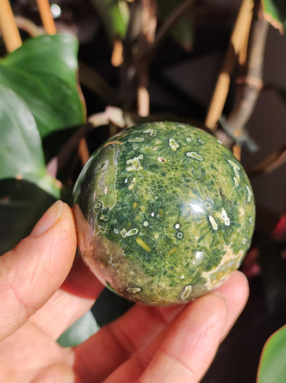 8 veines Ocean Jasper Orbiculaire vert - boule de pierre précieuse pierre de guérison naturelle décoration cristal cadeau lui elle homme femme maison appartement énergie rare