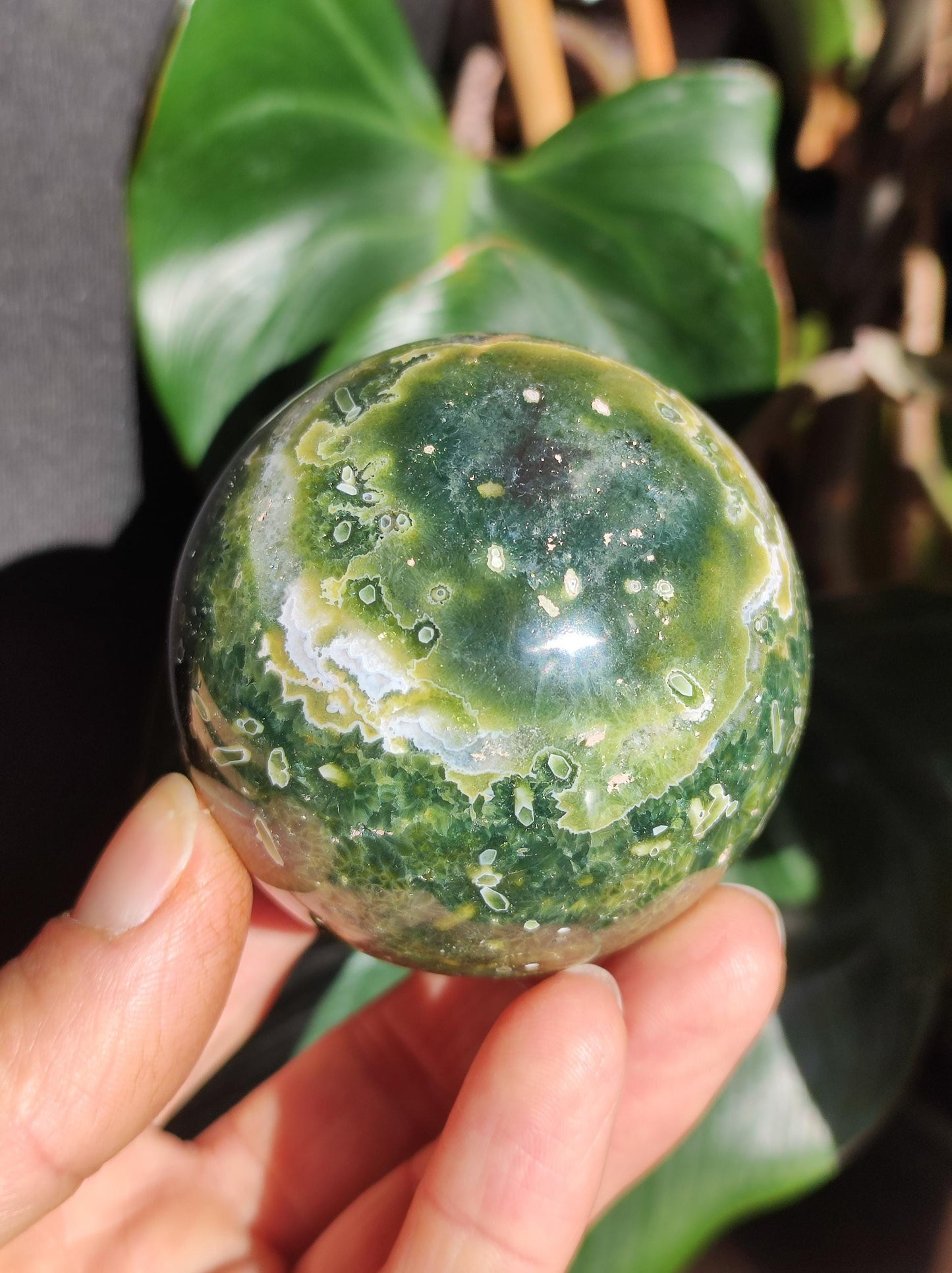 8 veines Ocean Jasper Orbiculaire vert - boule de pierre précieuse pierre de guérison naturelle décoration cristal cadeau lui elle homme femme maison appartement énergie rare