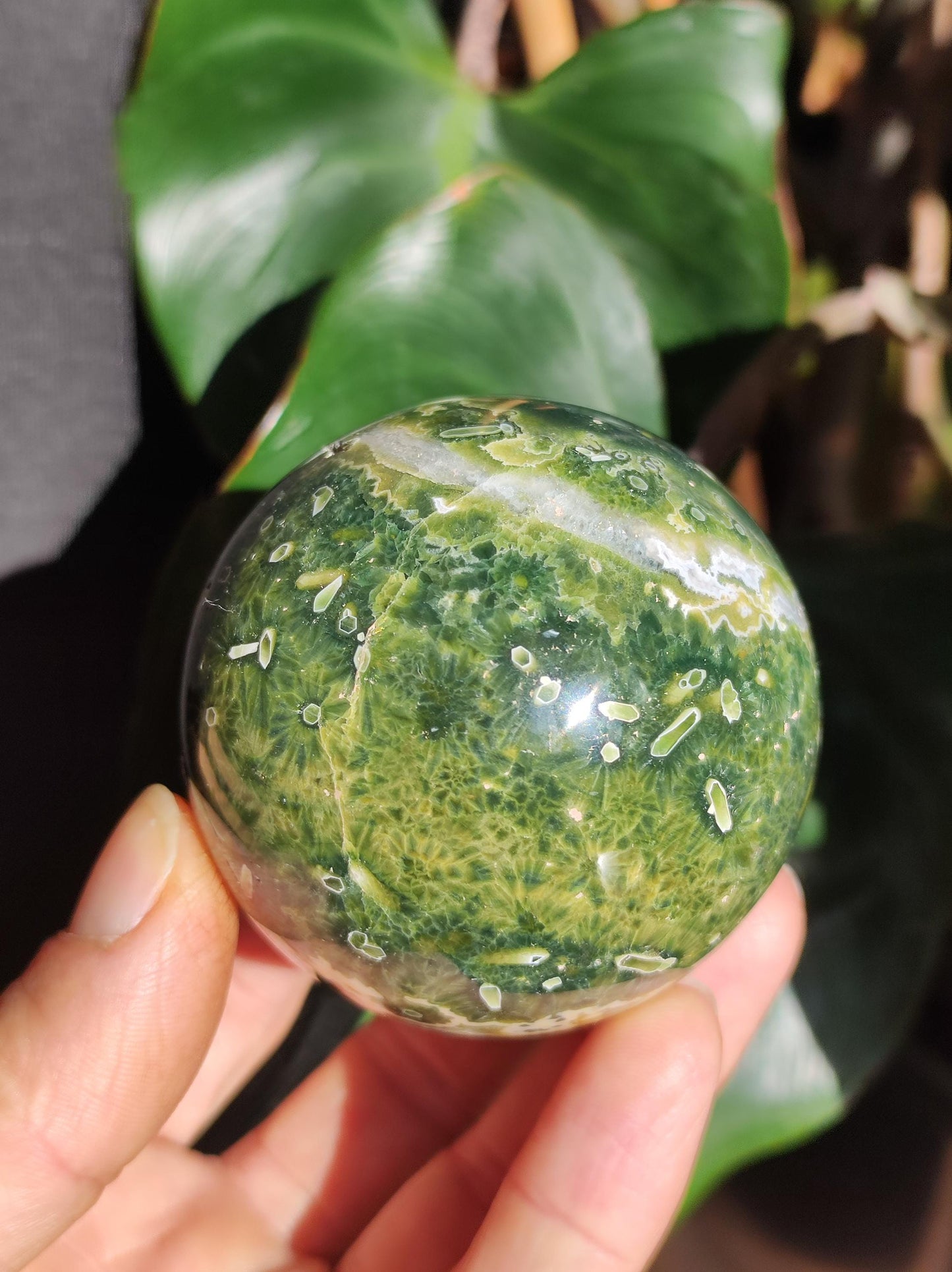 8 veines Ocean Jasper Orbiculaire vert - boule de pierre précieuse pierre de guérison naturelle décoration cristal cadeau lui elle homme femme maison appartement énergie rare