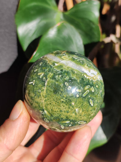 8 veines Ocean Jasper Orbiculaire vert - boule de pierre précieuse pierre de guérison naturelle décoration cristal cadeau lui elle homme femme maison appartement énergie rare