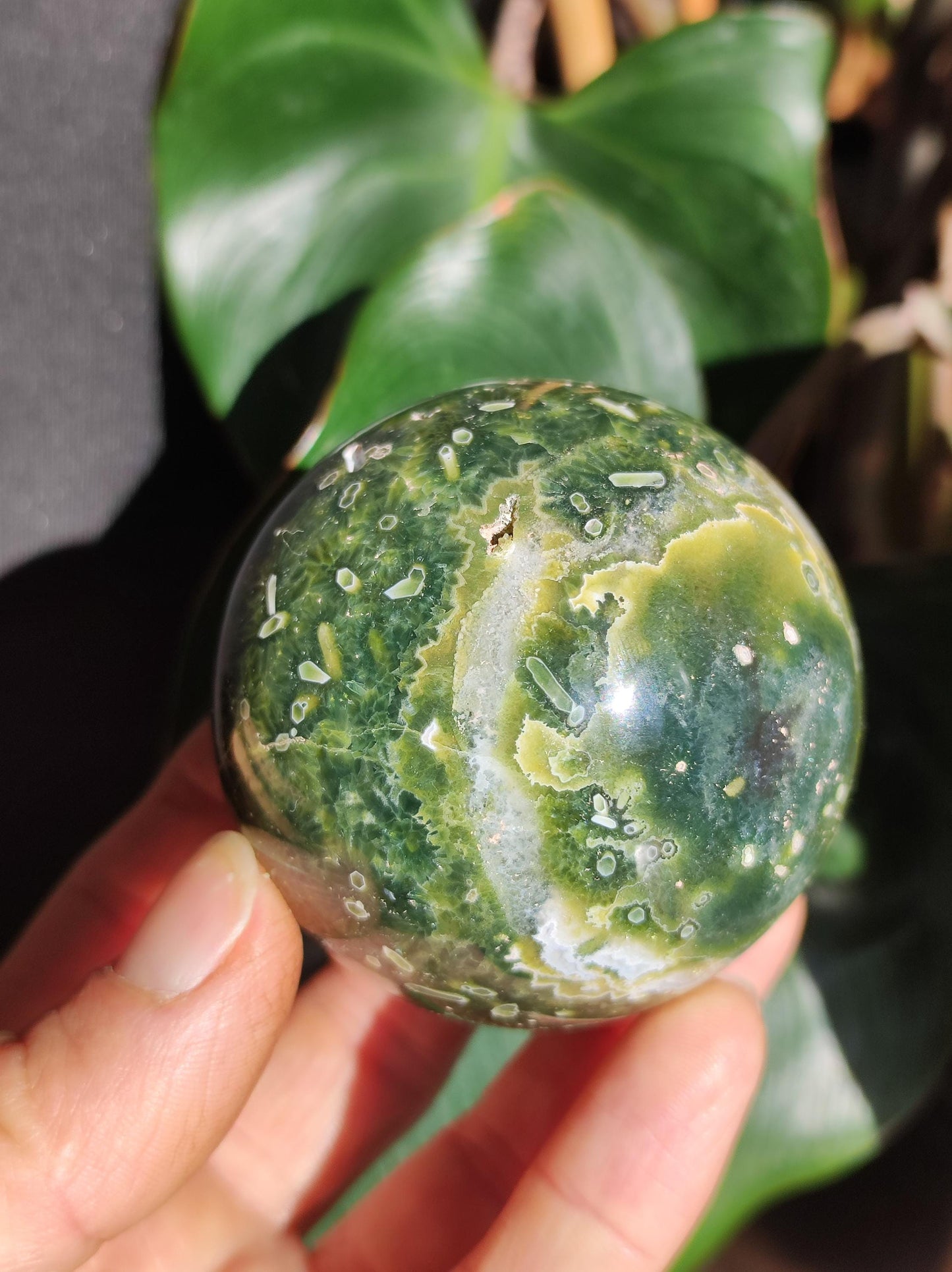 8 veines Ocean Jasper Orbiculaire vert - boule de pierre précieuse pierre de guérison naturelle décoration cristal cadeau lui elle homme femme maison appartement énergie rare