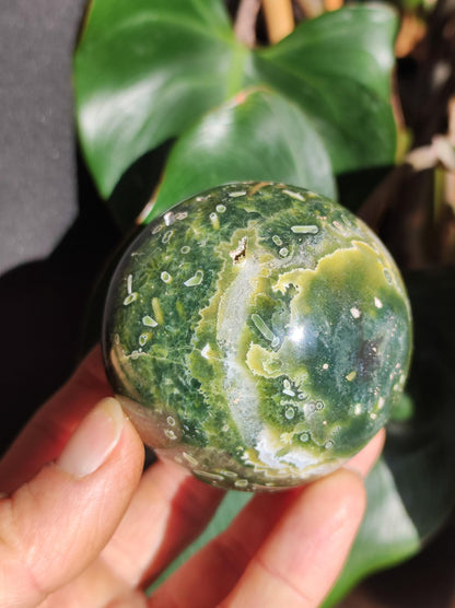 8 veines Ocean Jasper Orbiculaire vert - boule de pierre précieuse pierre de guérison naturelle décoration cristal cadeau lui elle homme femme maison appartement énergie rare