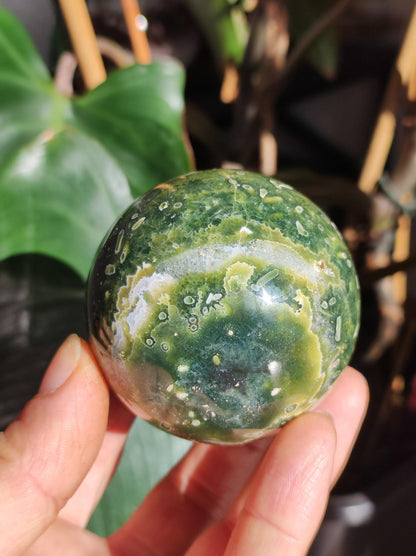 8 veines Ocean Jasper Orbiculaire vert - boule de pierre précieuse pierre de guérison naturelle décoration cristal cadeau lui elle homme femme maison appartement énergie rare