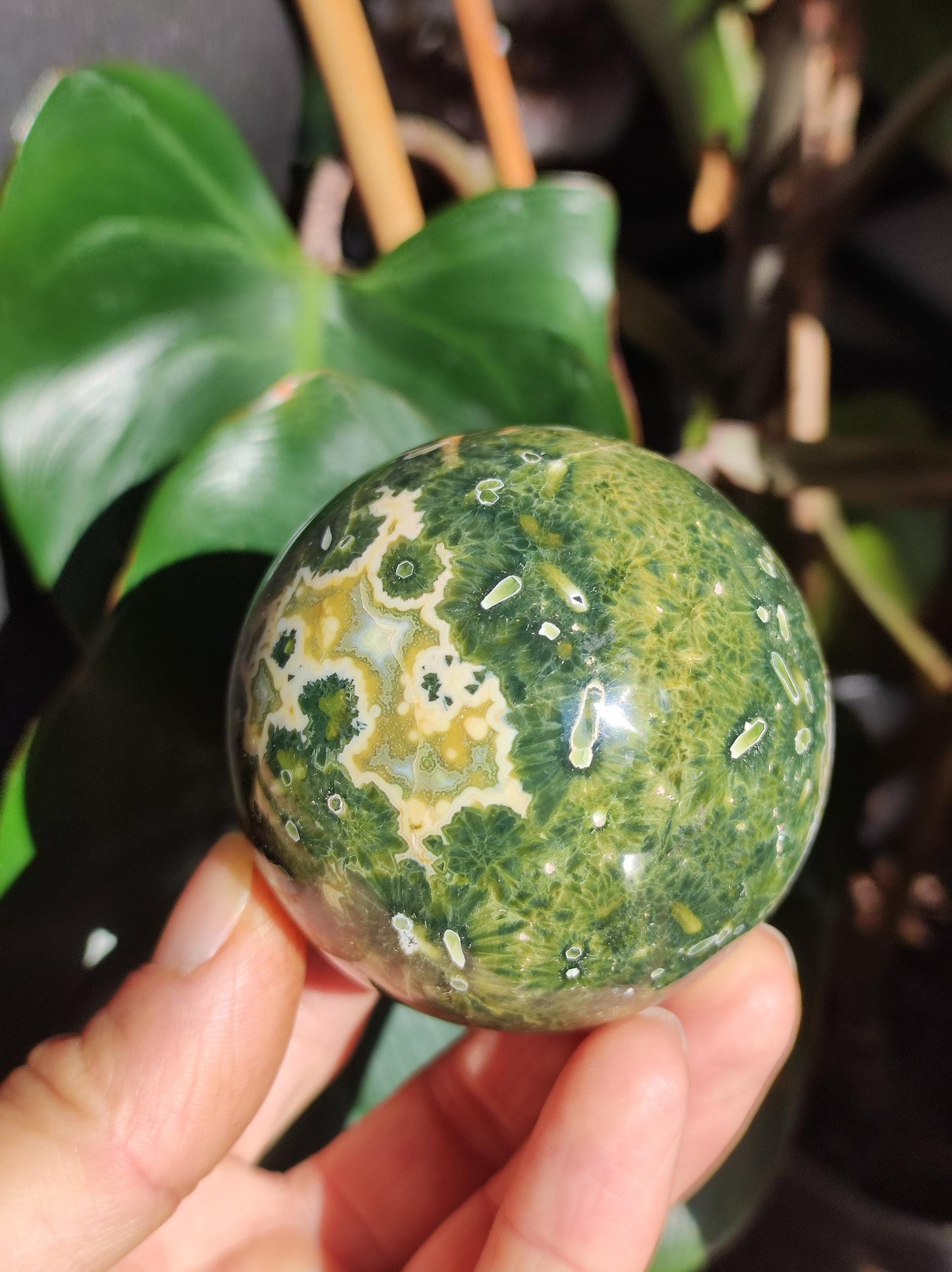 8 veines Ocean Jasper Orbiculaire vert - boule de pierre précieuse pierre de guérison naturelle décoration cristal cadeau lui elle homme femme maison appartement énergie rare