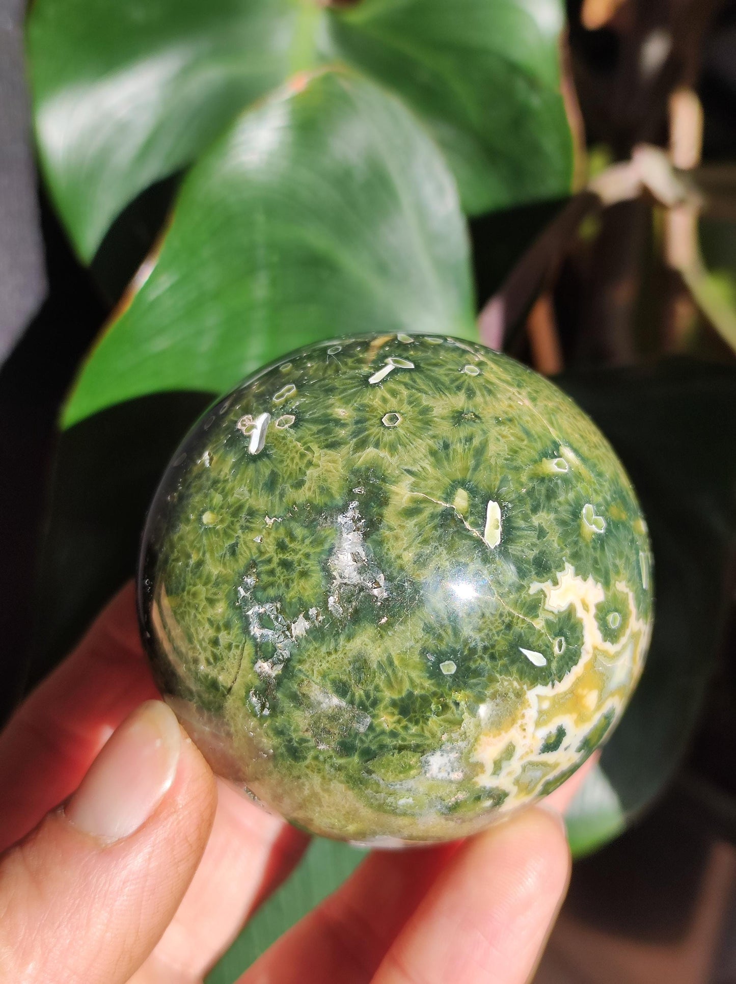 8 veines Ocean Jasper Orbiculaire vert - boule de pierre précieuse pierre de guérison naturelle décoration cristal cadeau lui elle homme femme maison appartement énergie rare