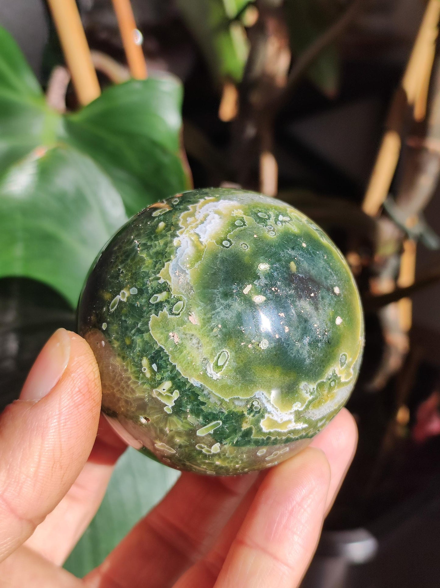 8 veines Ocean Jasper Orbiculaire vert - boule de pierre précieuse pierre de guérison naturelle décoration cristal cadeau lui elle homme femme maison appartement énergie rare