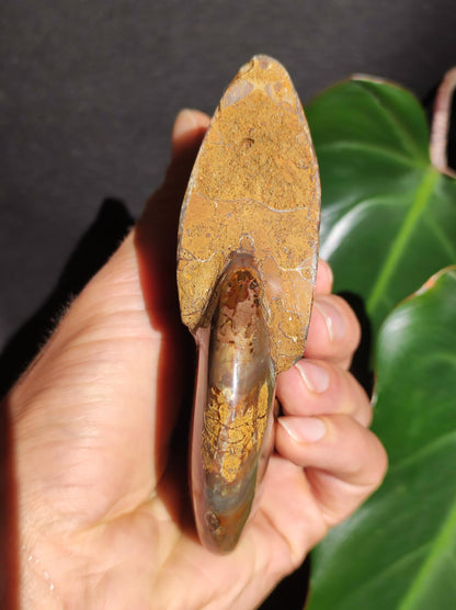 Ammonite Fossil ~ Opalescent Snail Large Decorative Piece ~HIPPIE ~GOA ~Boho ~Ethno ~Nature ~Healing Stone
